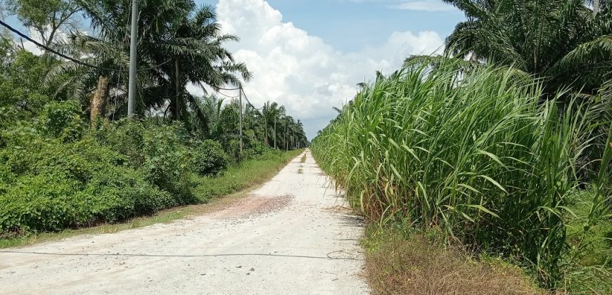 Agricultural Land