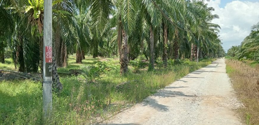 Agricultural Land